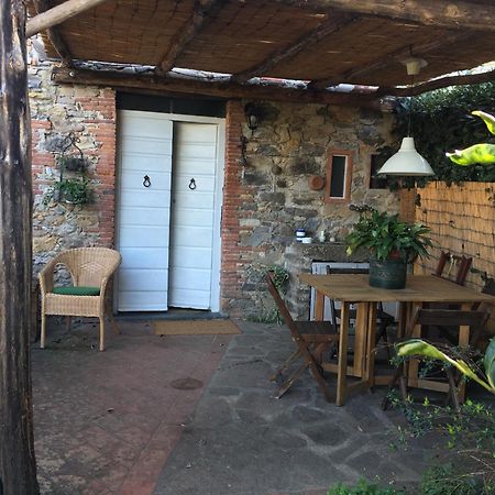 Casa Bouganville Massa Macinaia Exteriér fotografie