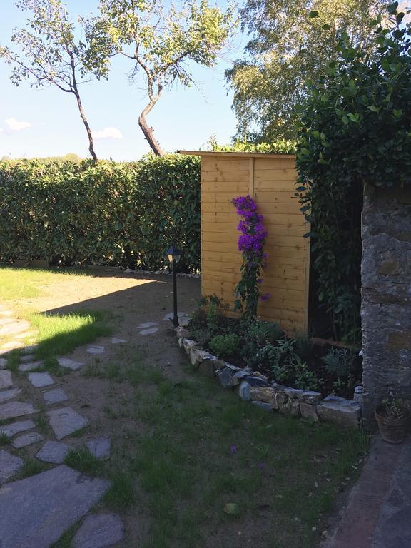 Casa Bouganville Massa Macinaia Exteriér fotografie